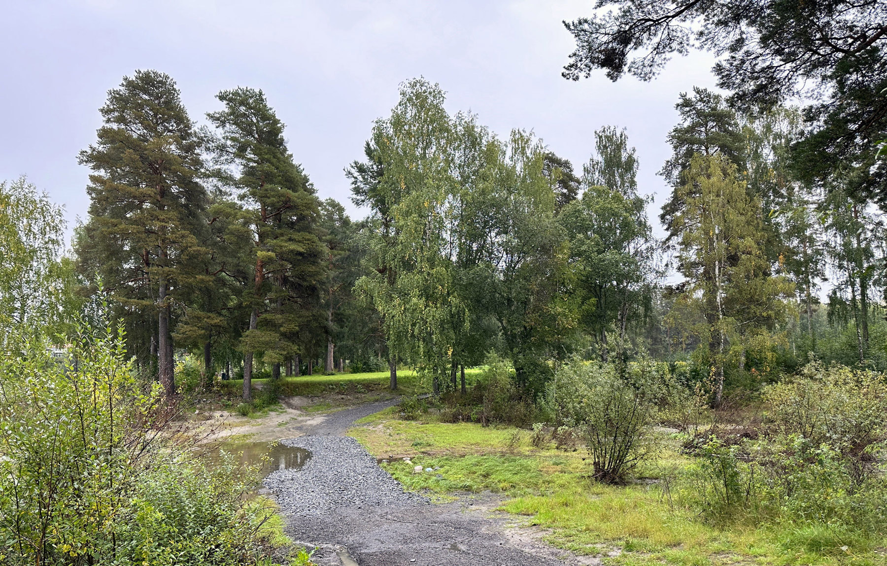 Petersøya. Foto: Ringerike Kommune