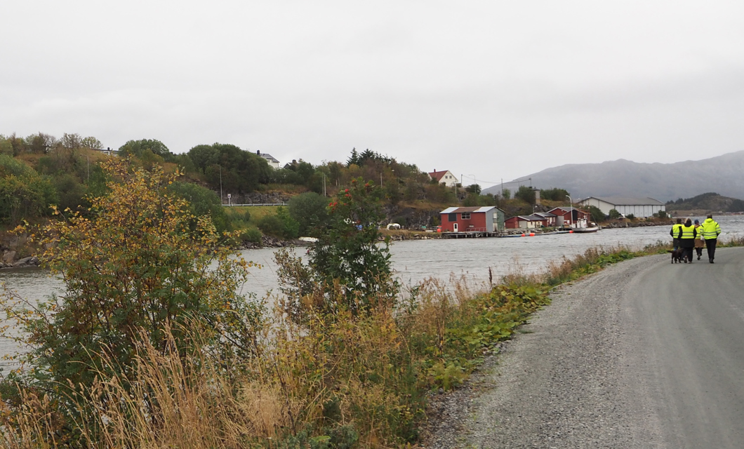 Kan Alstahaug Kystlag sine bygg i Sandnesvågen utvikles til et kystkultursenter? Foto: Bylivsenteret