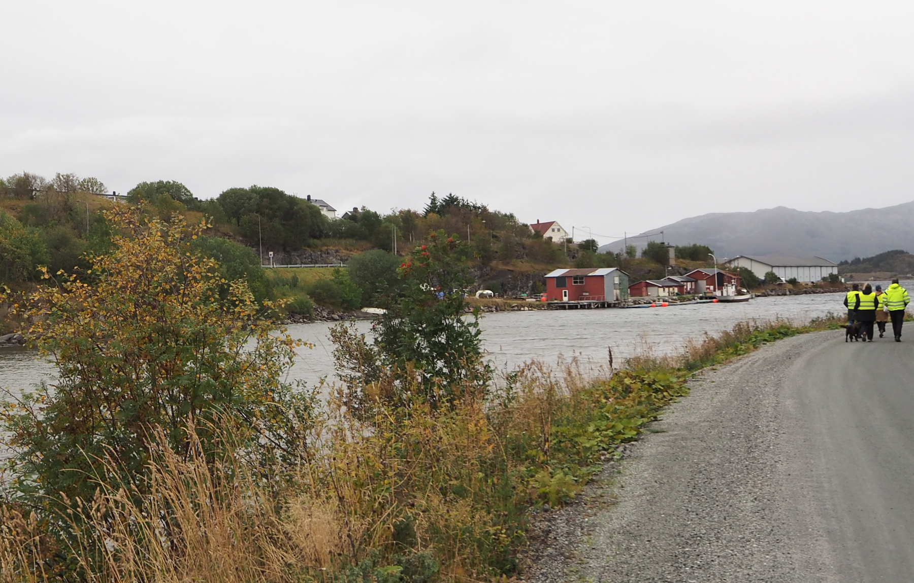 Kan Alstahaug Kystlag sine bygg i Sandnesvågen utvikles til et kystkultursenter? Foto: Bylivsenteret