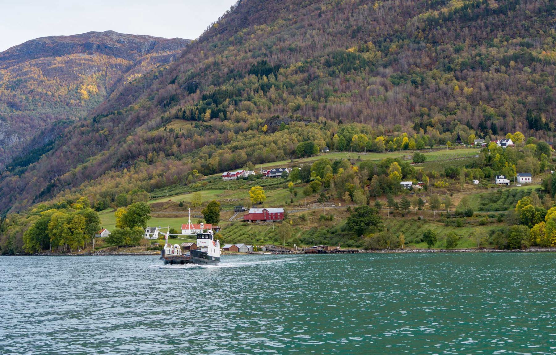 Tomta ligg som ein trekant i lia til høgre for det raude bygget. Urnes stavkyrkje skimtast øvst og til høgre i bildet. Foto: Veri Media