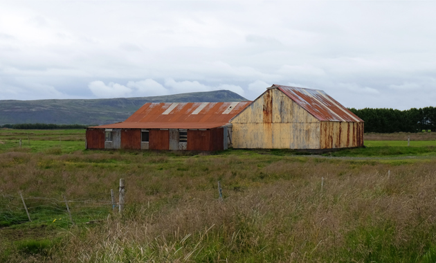 Foto: Pavlina Lucas, 2020