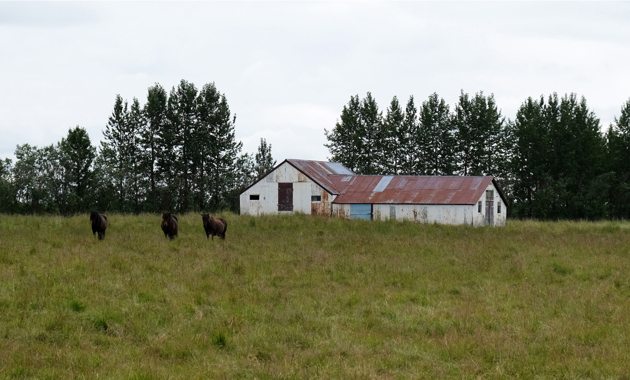 Foto: Pavlina Lucas, 2020