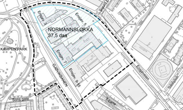 Normannsløkka Illustrasjon: NRK